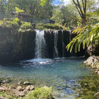 Pipiwai Trail - Driving passed this. Had to pull over - Hiking Near Me - Hana,, Hawaii