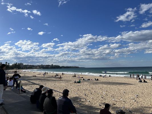 Photo of Manly Beach - Manly, NSW, AU.