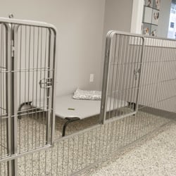 Downward Dog Grooming - Nice roomy time out rooms.
