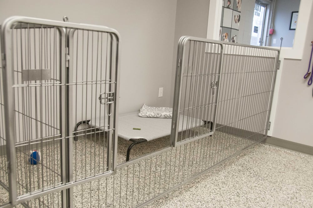 DOWNWARD DOG GROOMING Updated September 2024 125 Main Street N