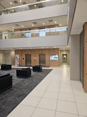 Orlin & Cohen Orthopedic Group