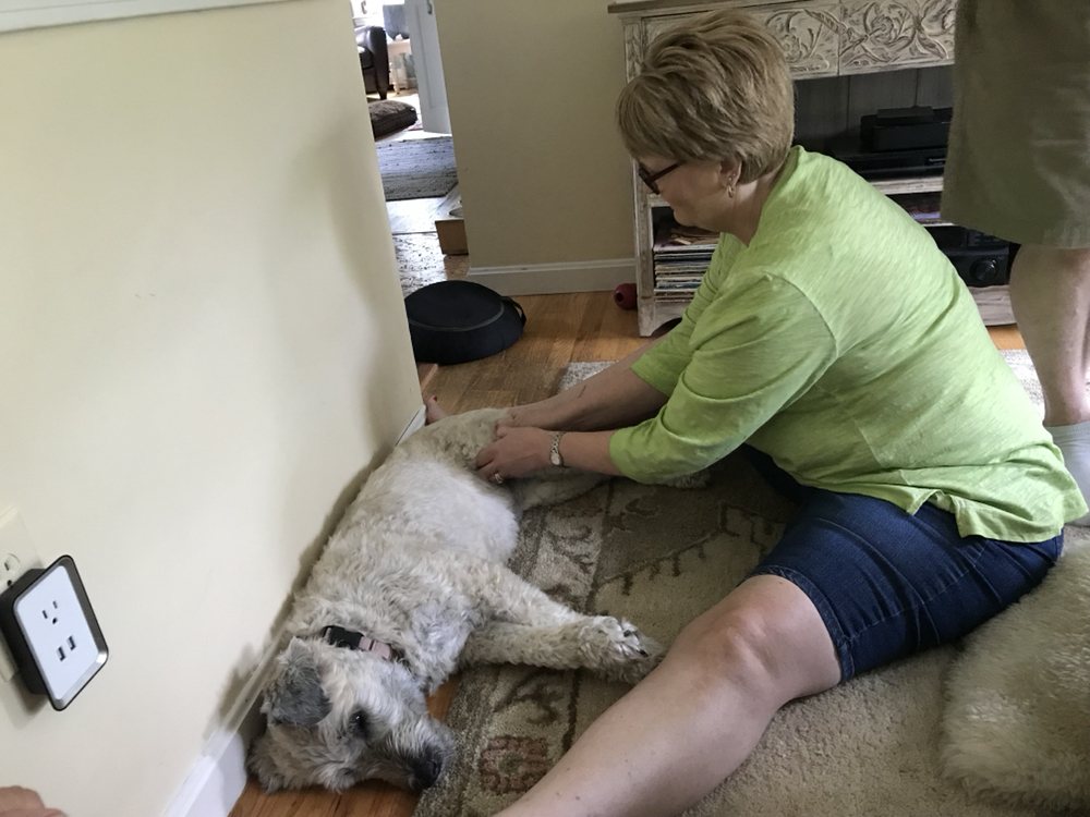 SHEILA CLIFFORD, BAS LMT 116 S River Rd, Bedford, New Hampshire