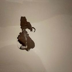 Solutions Tub & Mechanical