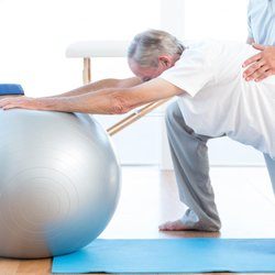 Reaction Rehab Physical Therapy