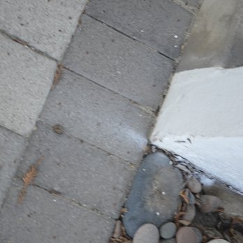 Redlands Painting - Over spray on custom driveway and did not cover plants before spraying. - Painters Near Me Redlands Painting - Over spray on custom driveway and did not cover plants before spraying. - Painters Near Me
