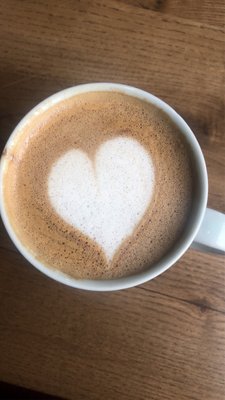 Fancy Plants Kitchen by null