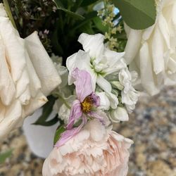 Flora Flower - Wilted