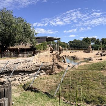 Reid Park Zoo - Zoos Near Me - Tucson, Arizona Reid Park Zoo - Zoos Near Me - Tucson, Arizona