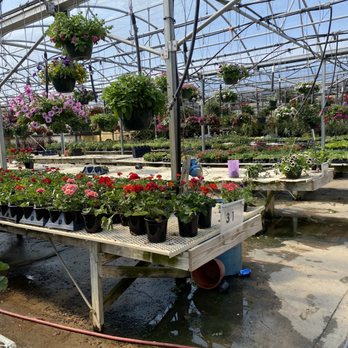 Country Place Greenhouse - Nurseries & Gardening Near Me - Springfield, Kentucky