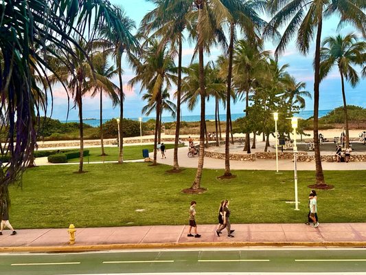 Park Central South Beach by null