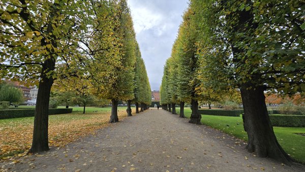 The King's Garden by null