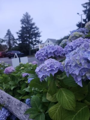 Sundae School by null