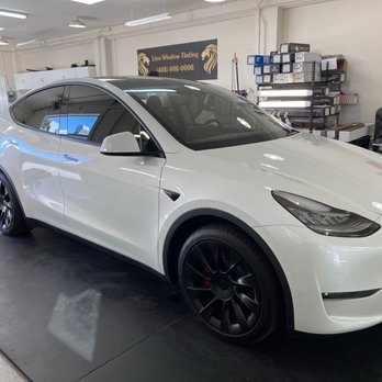 Lion Window Tinting - Spa day for the car, in the shop getting tinted - Car Window Tinting Near Me - San Mateo, California Lion Window Tinting - Spa day for the car, in the shop getting tinted - Car Window Tinting Near Me - San Mateo, California