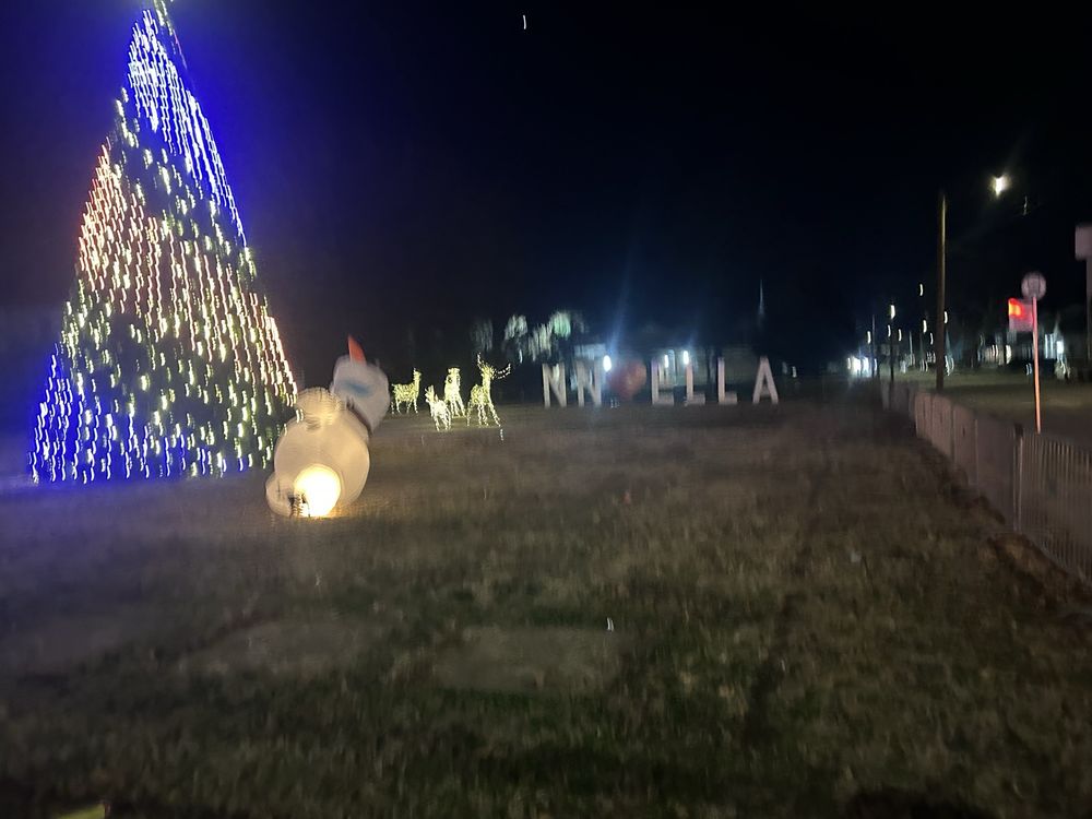 Downing-Gross Cultural Arts Center - wedding in Newport News, VA