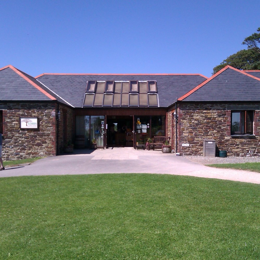 THE BEST 10 Farmers Market near OKEHAMPTON, DEVON, UNITED KINGDOM - Last  Updated December 2023 - Yelp