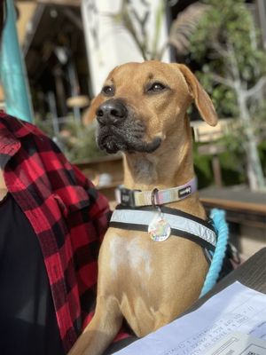 TapRoom Beer Company by null