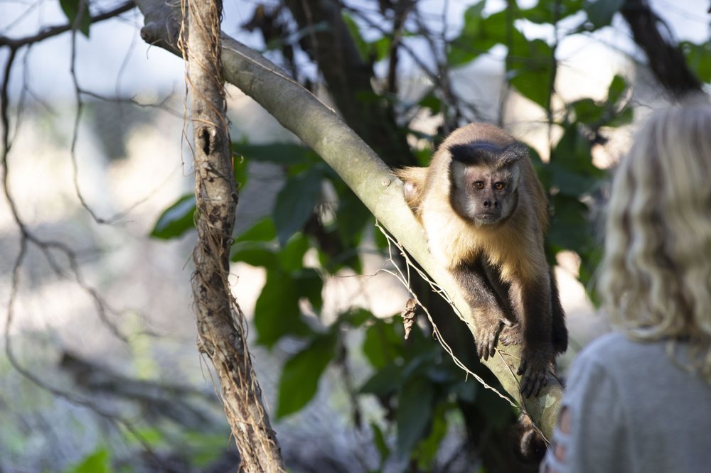 MONKEY JUNGLE 352 Photos & 164 Reviews Zoos 14805 SW 216th St