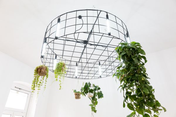 Manko Café und Workspace by null