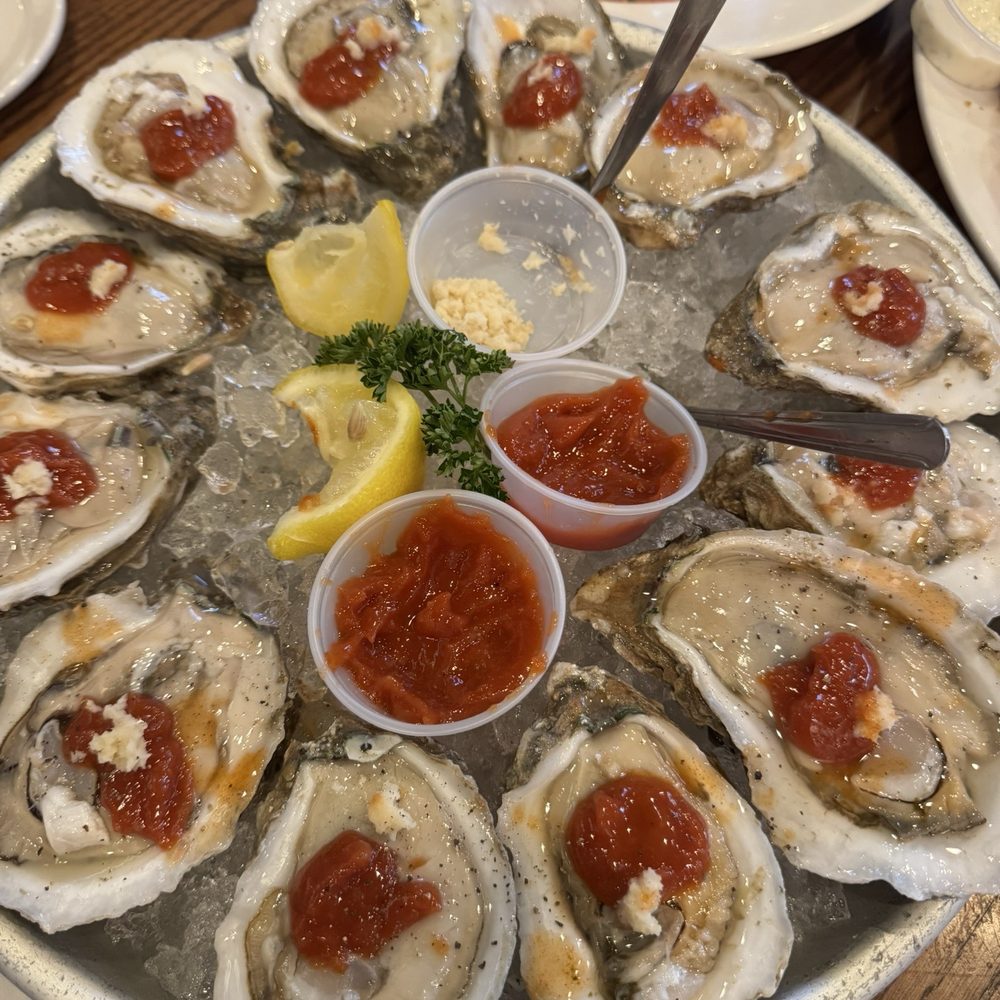 oysters oysters