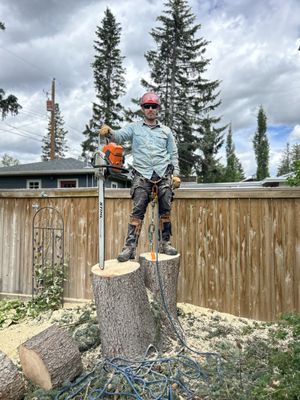 Certified Arborist Assessments - As a certified arborist, Ian provides honest, professional assessments to help you make smart decisions about your trees. From risk evaluations to long-term care plans, he gives you clear recommendations so you can plan with confidence. Certified Arborist Assessments - As a certified arborist, Ian provides honest, professional assessments to help you make smart decisions about your trees. From risk evaluations to long-term care plans, he gives you clear recommendations so you can plan with confidence.