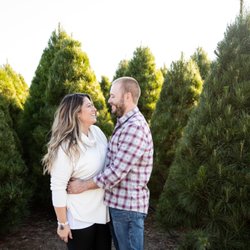 Amber Roberts Photography - Tree Farm Mini Sessions