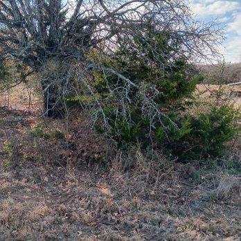Simpson Family Construction - Tree Services Near Me Simpson Family Construction - Tree Services Near Me