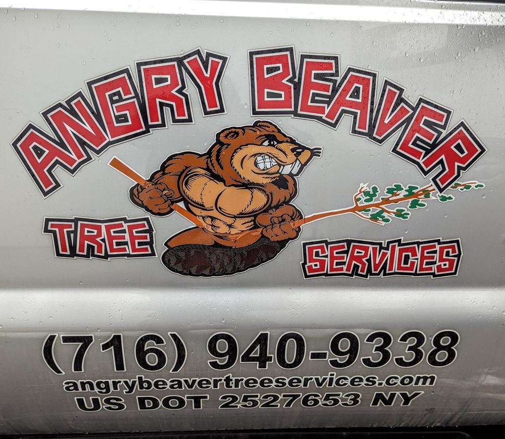 Angry Beaver Tree Services - tree service in Youngstown, NY