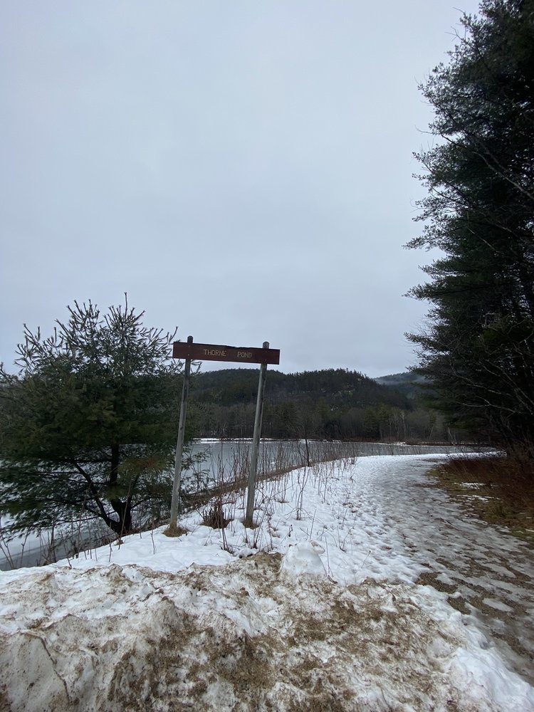 THORNE POND CONSERVATION AREA Thorne Pond Conservation Area, Bartlett, New Hampshire Hiking
