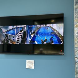 The Swim Clinic