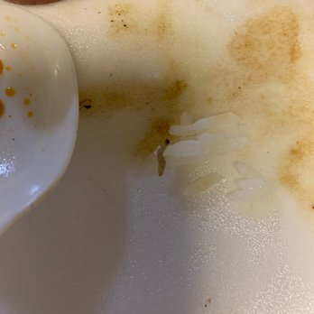 Thai Cafe - Penang curry -worm in the rice - Thai Near Me - Irvine, California Thai Cafe - Penang curry -worm in the rice - Thai Near Me - Irvine, California