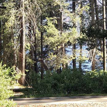 Deer Creek Campground - View from site 24 - Campgrounds Near Me - Lakeshore, California