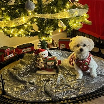 Waggin Tails Ranch - Pet Breeders Near Me - Snowflake, Arizona Waggin Tails Ranch - Pet Breeders Near Me - Snowflake, Arizona