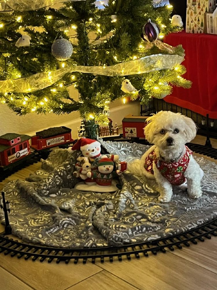 WAGGIN TAILS RANCH Updated September 2024 15 Photos 9188 Sharp