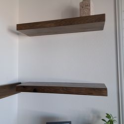 Timeless Timbers