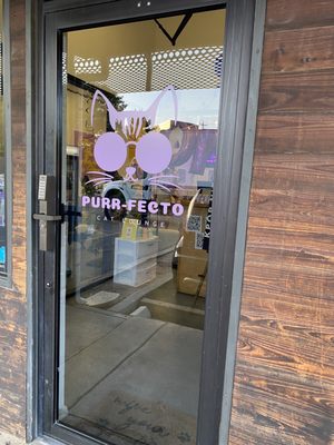 Purrfecto Cat Lounge by null