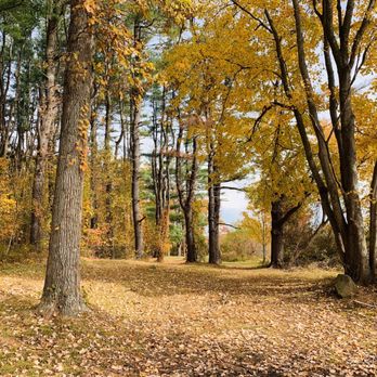 Lincoln Woods State Park - So beautiful - Parks Near Me - Lincoln, Rhode Island Lincoln Woods State Park - So beautiful - Parks Near Me - Lincoln, Rhode Island