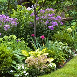 All Seasons Garden & Floral