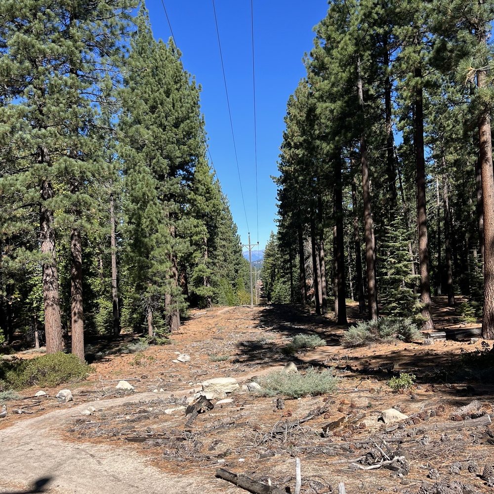 Powerline Trail - How this particular trail got its name! - Hiking Near Me Powerline Trail - How this particular trail got its name! - Hiking Near Me