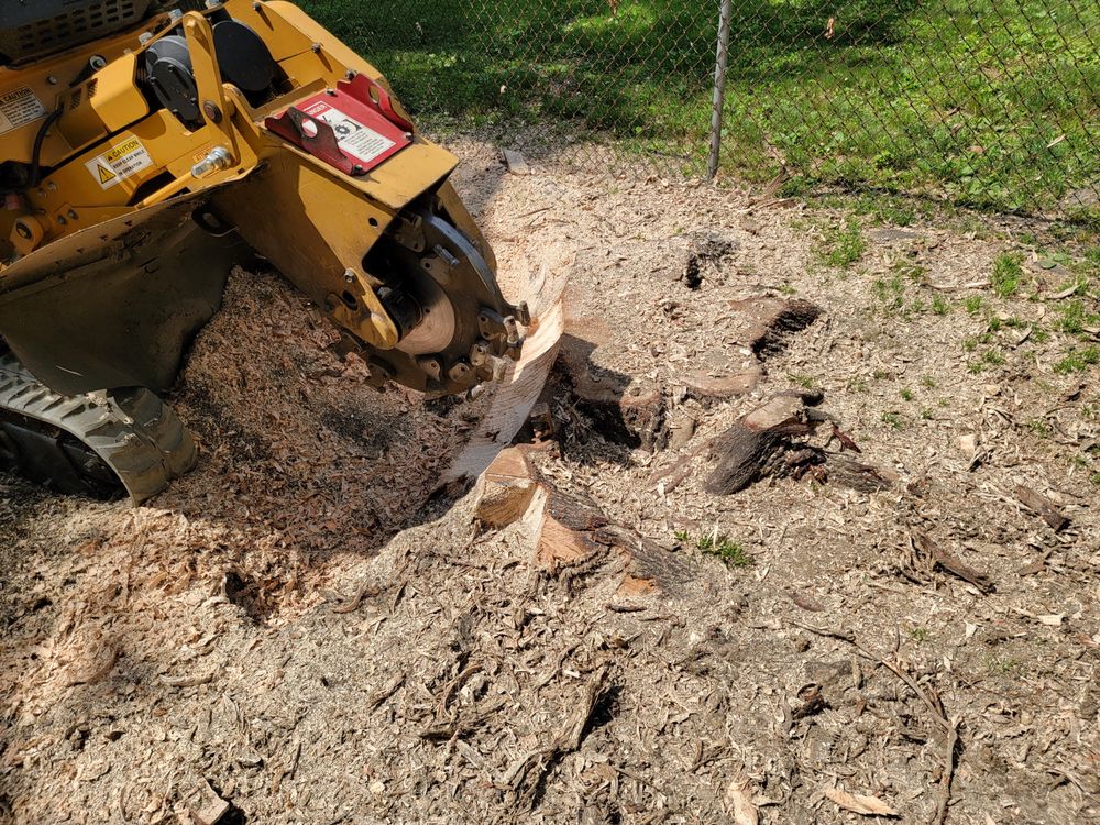 Diamond State Tree Experts - tree service in Wilmington, DE