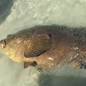 Big Bully Outdoors - Fishing Near Me - Boca Grande, Florida