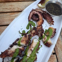 Octopus