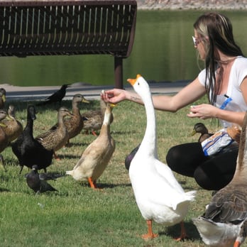 Granada Park - Parks Near Me - Phoenix, Arizona
