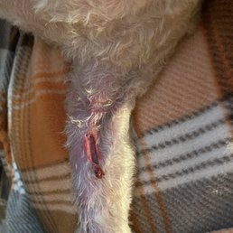 The cut