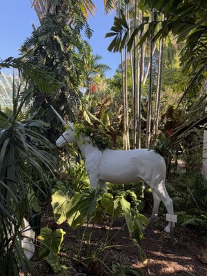 Miami Beach Botanical Garden by null