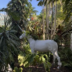 Miami Beach Botanical Garden - Unicorn