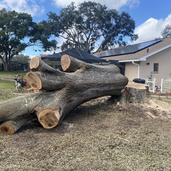 Dewayne Watson Tree Service & Sawmill - After - Tree Services Near Me - Homosassa, Florida Dewayne Watson Tree Service & Sawmill - After - Tree Services Near Me - Homosassa, Florida