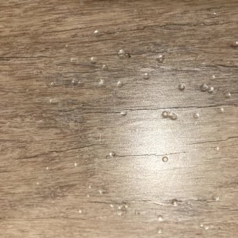 Floor & Decor - Surface of flooring is cracking and divots are appearing and spreading - Kitchen & Bath Near Me - Skokie, Illinois