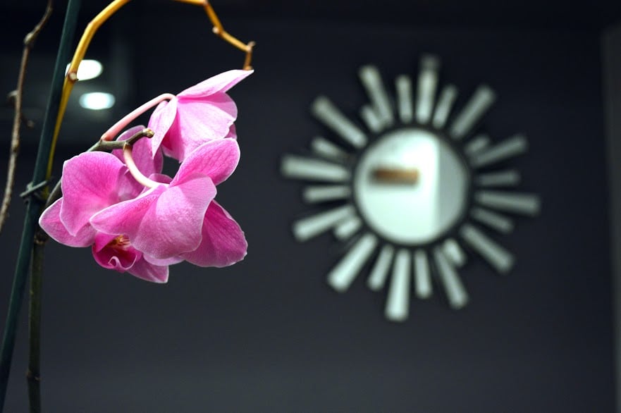 Volta Esthetics & Massage Lab Logo