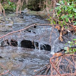 Pescadero Creek Park - Area we found with a mini waterfall