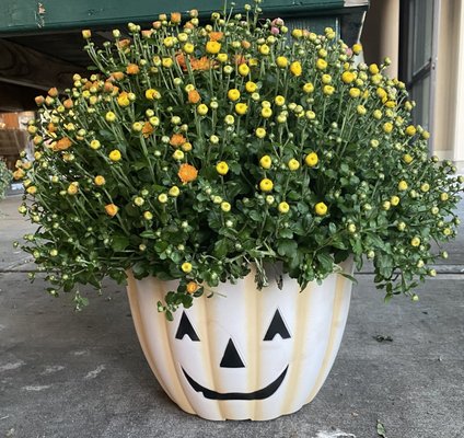 Stew Leonard's by null